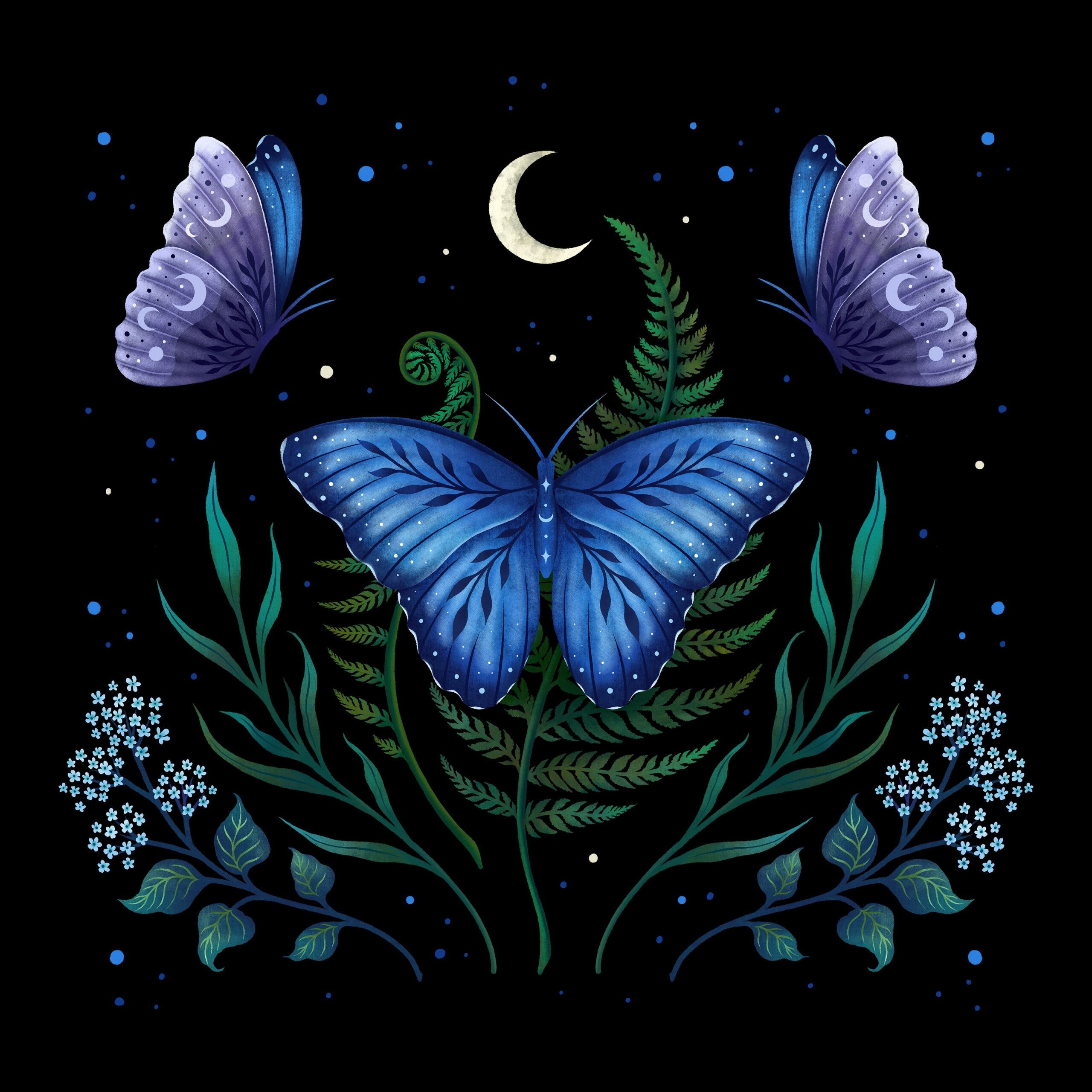 Blue Morpho Butterfly