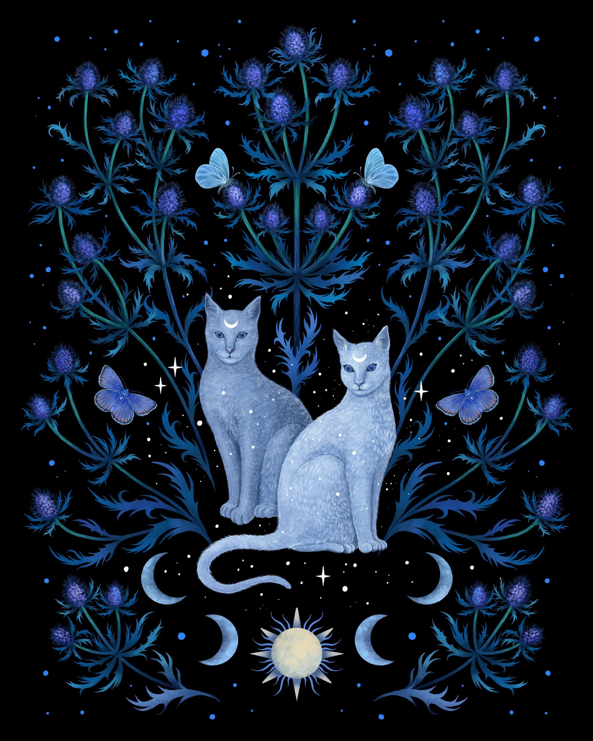 Blue Thistle and Cat