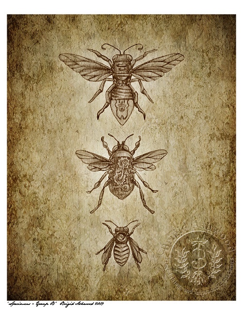 Steampunk Specimens: Insects