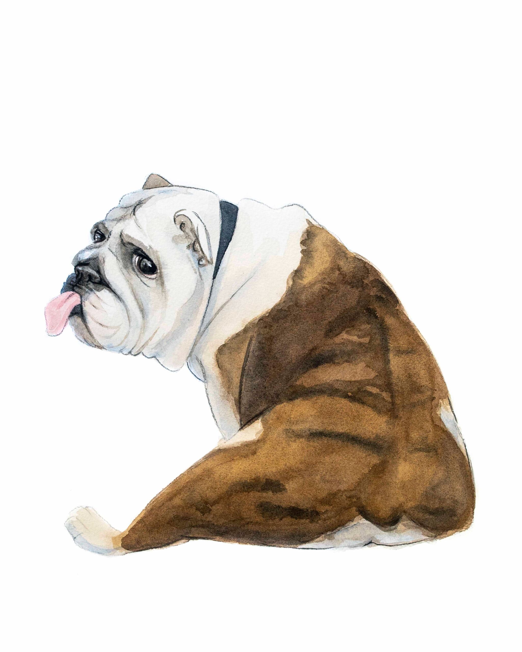 Bulldog Butt