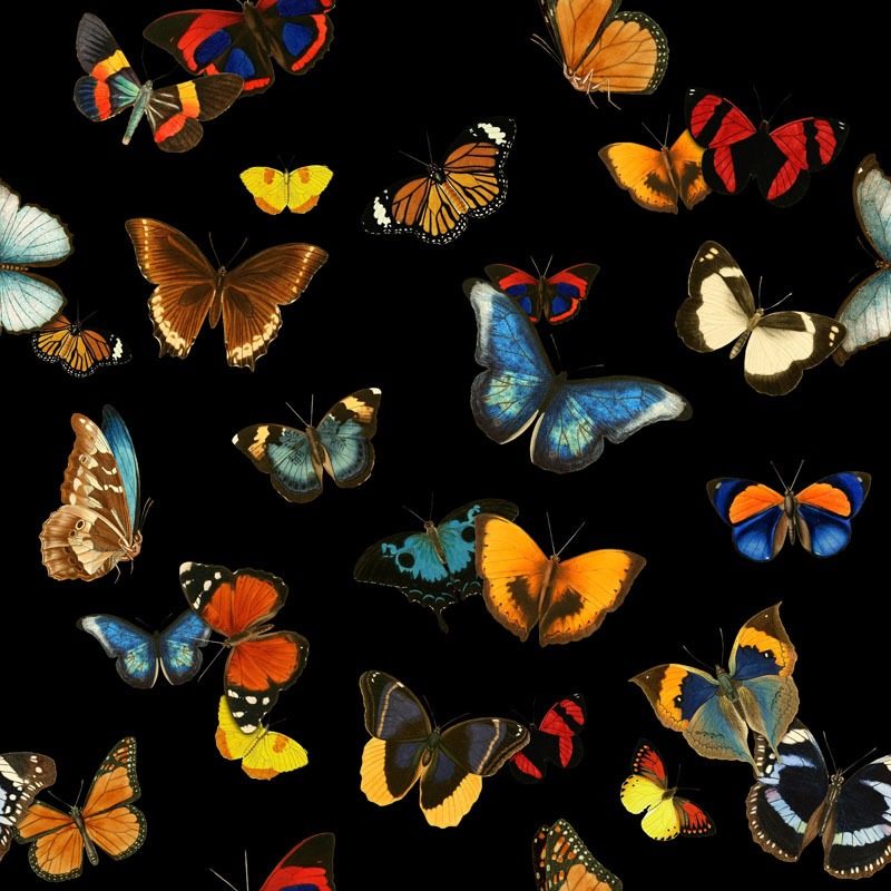 Butterfly Spring Pattern
