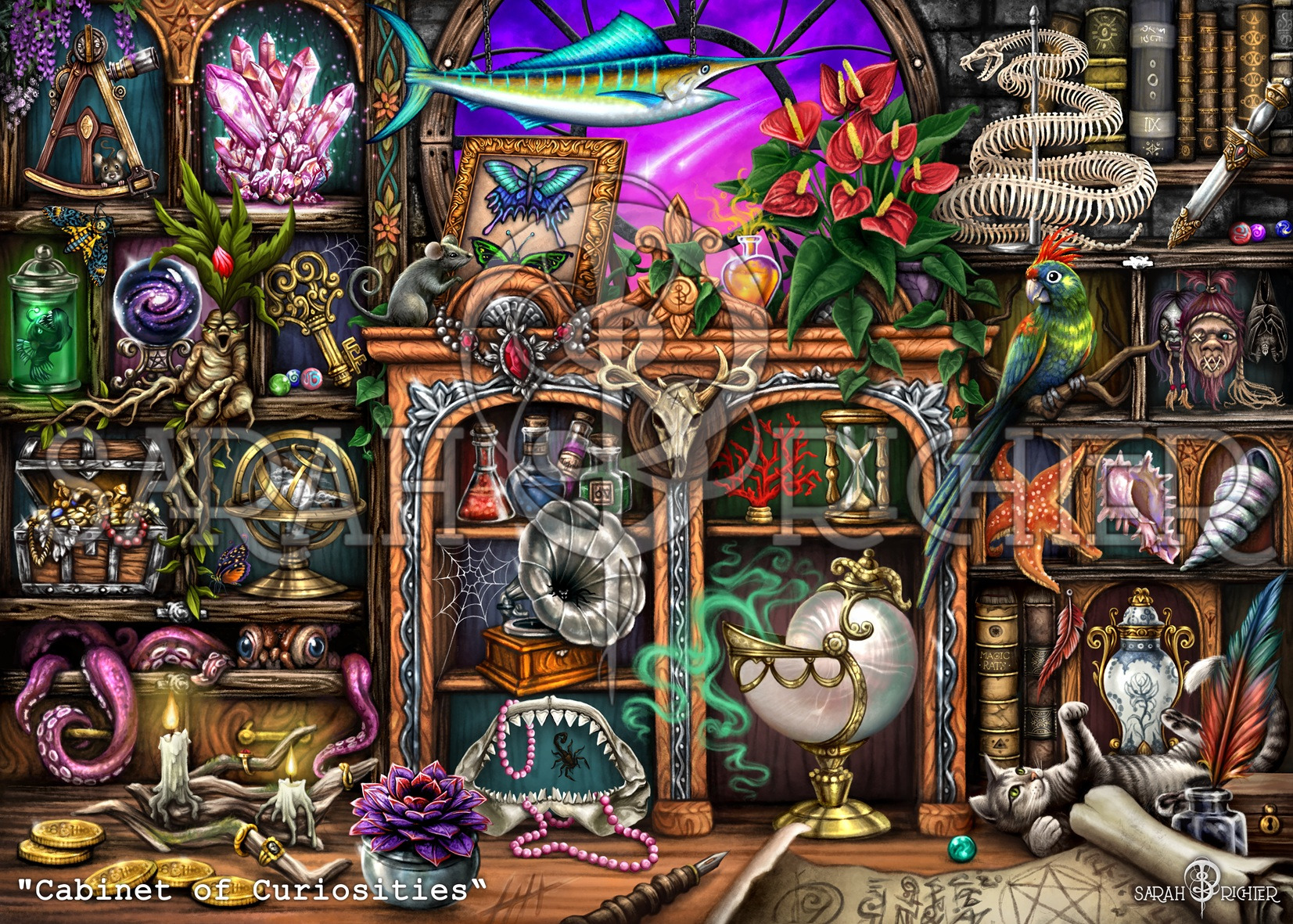 Cabinet of Curiosities