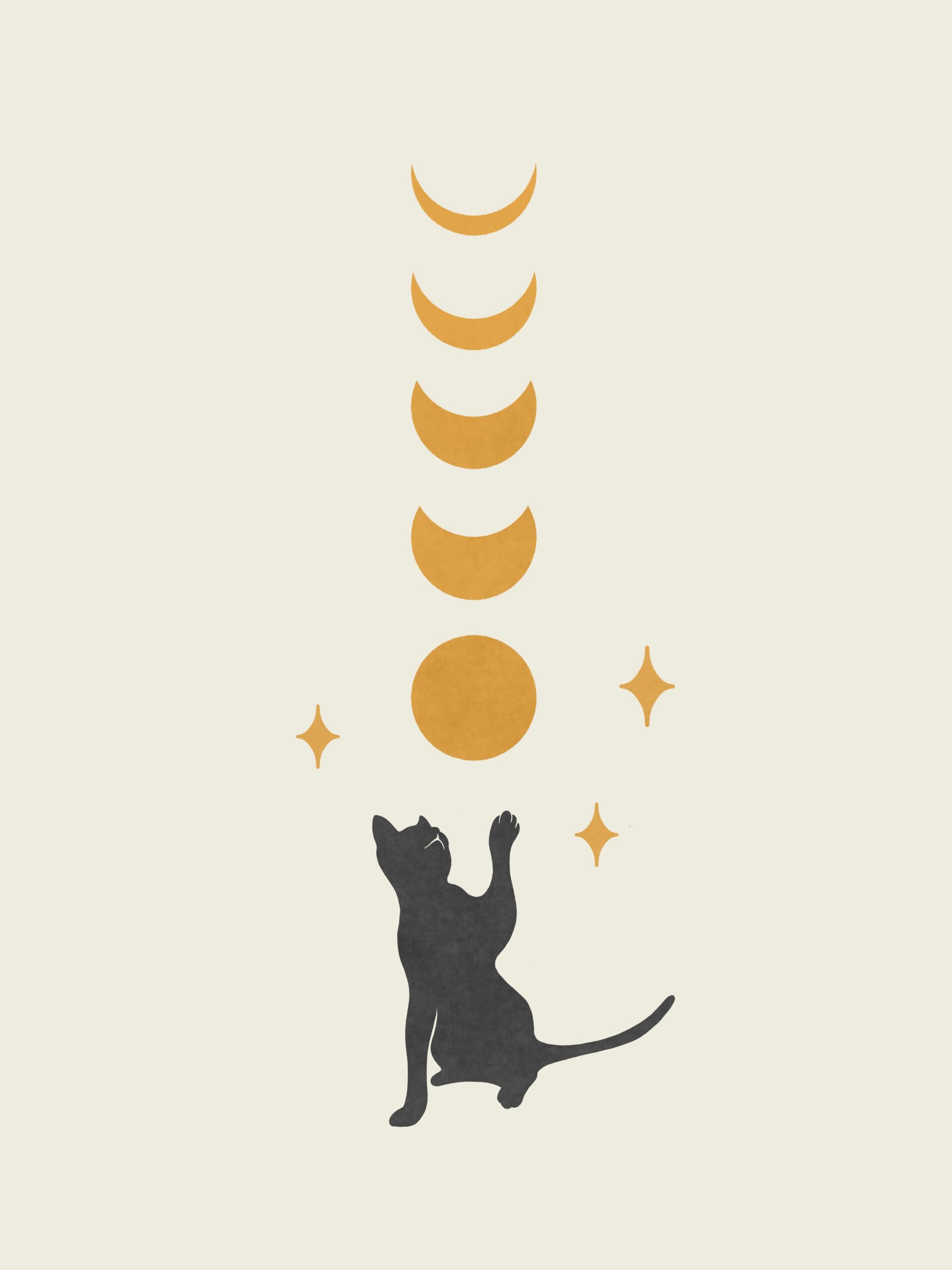 cat and Moon 2