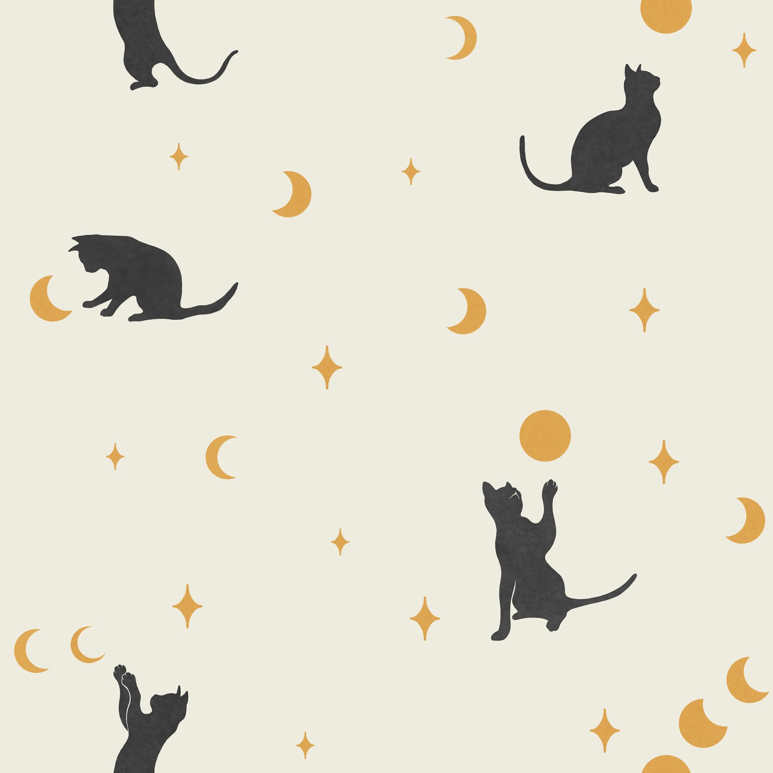 Cat and Moon PT