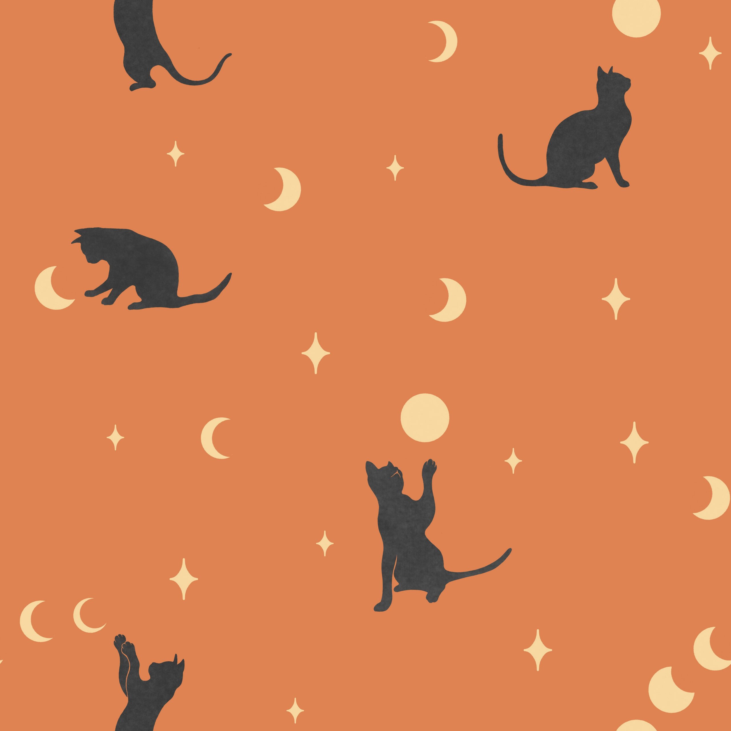 Cat and Moon – Pumpkin Orange Pattern