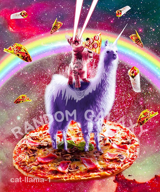 Cat Llama 1