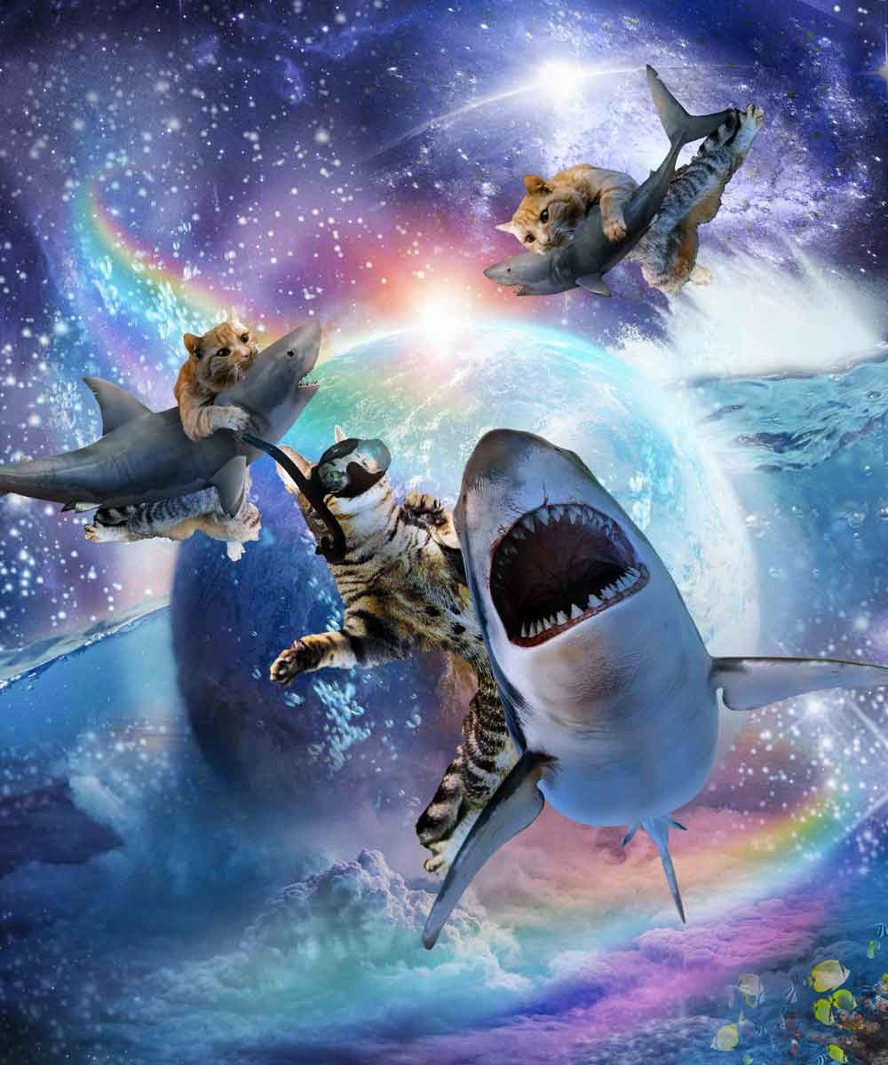 Cosmic Shark Riders
