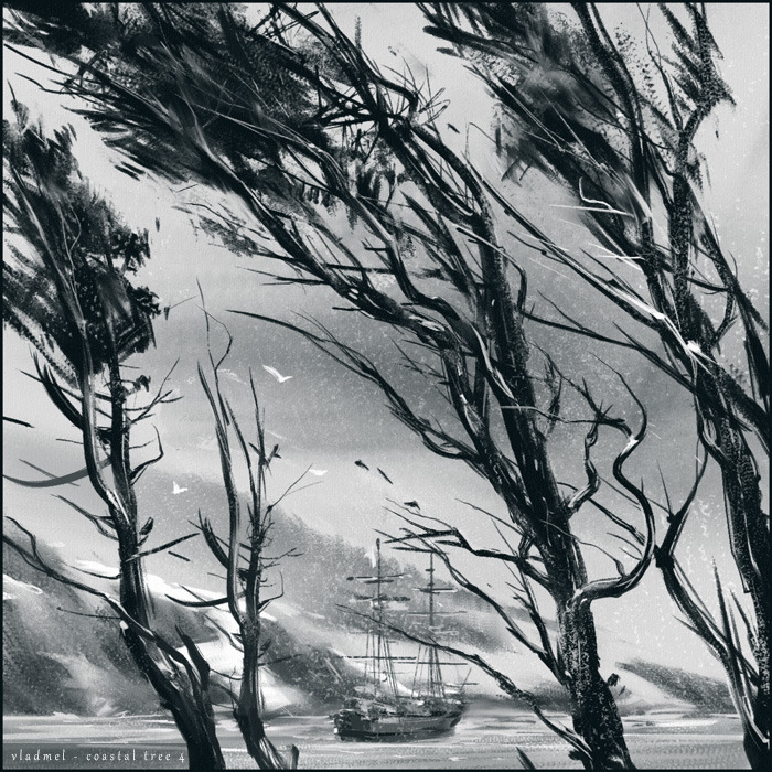 Coastal tree 4