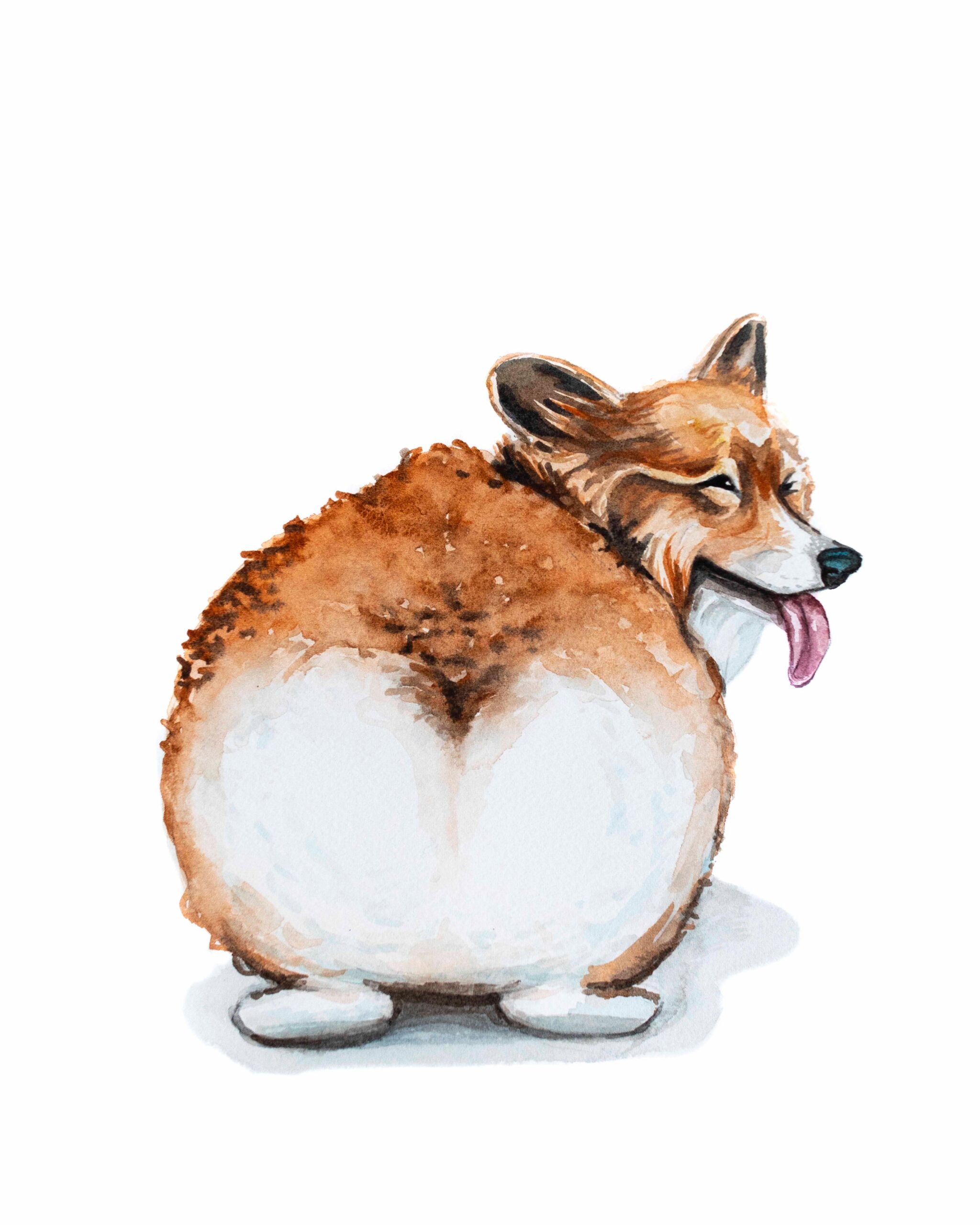 Corgi Butt