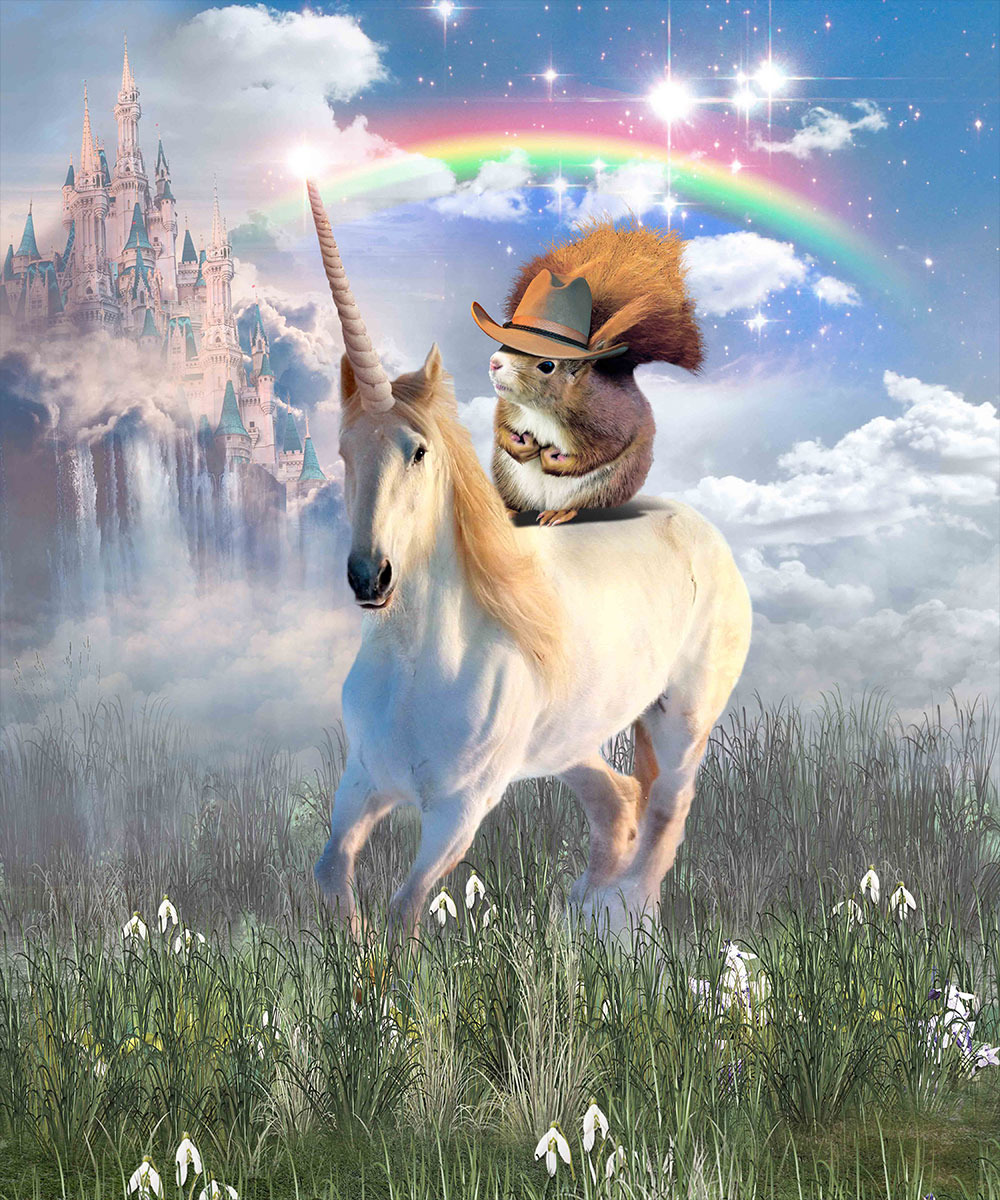 Squirrel & Unicorn – Rainbow Ride
