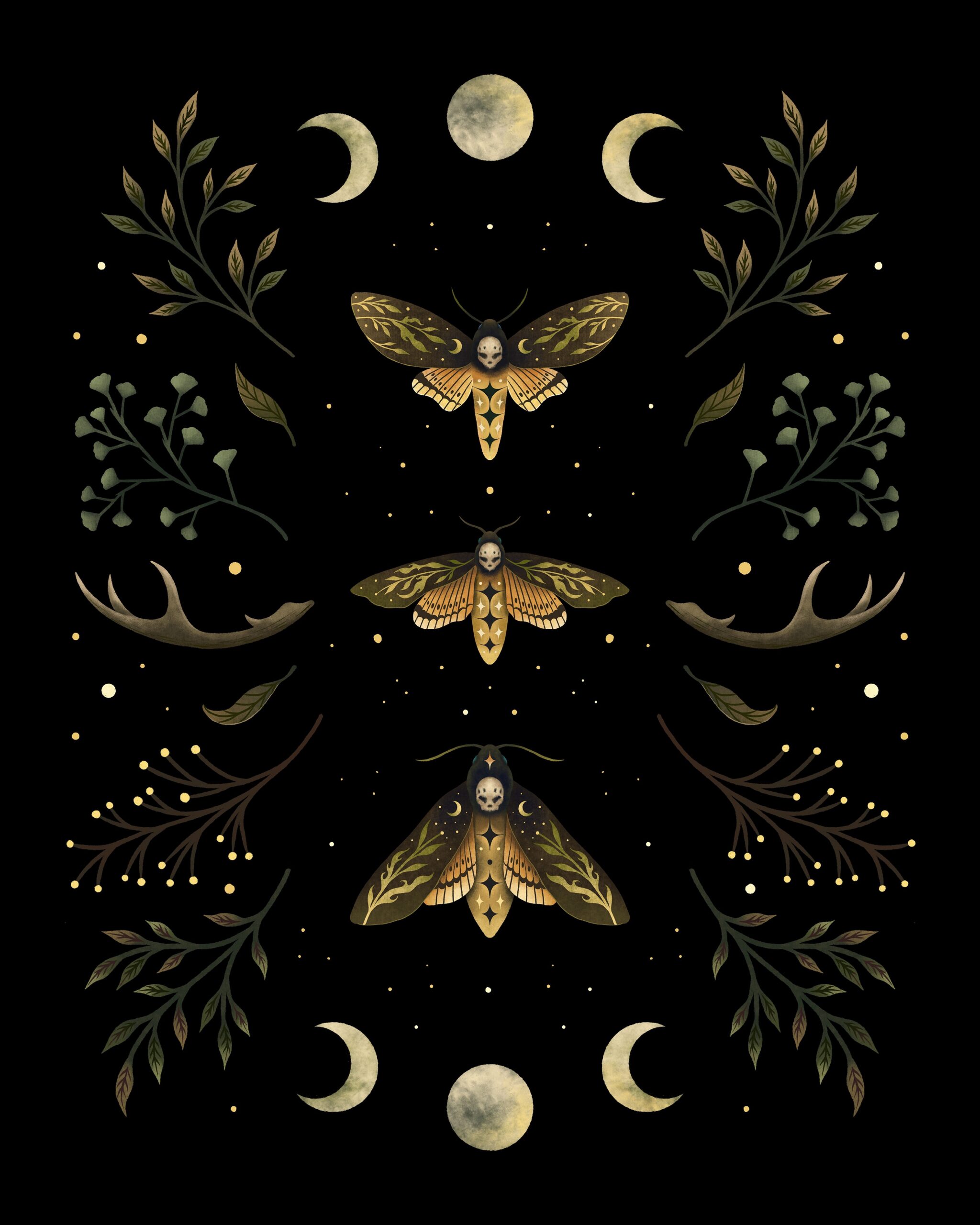 Death’s Head Moth Night