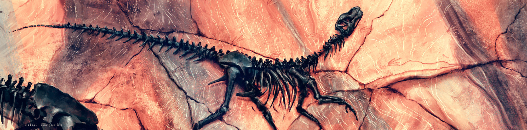 dino fossils 1
