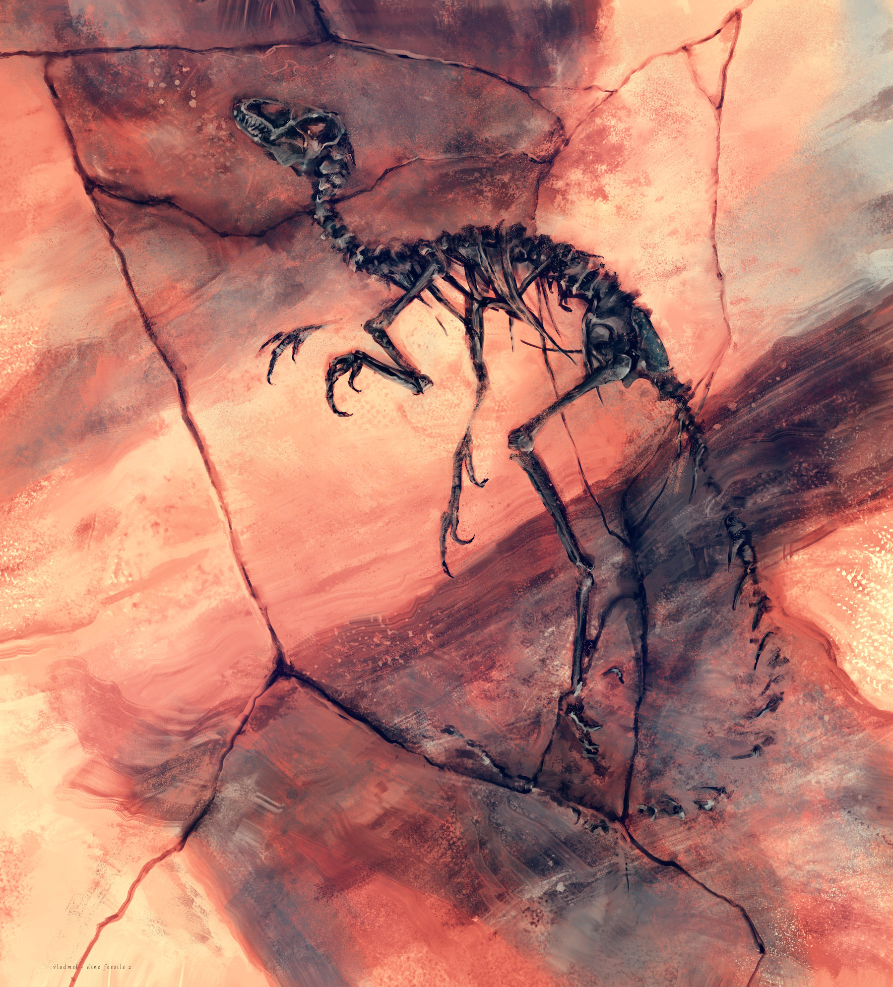 dino fossils 2