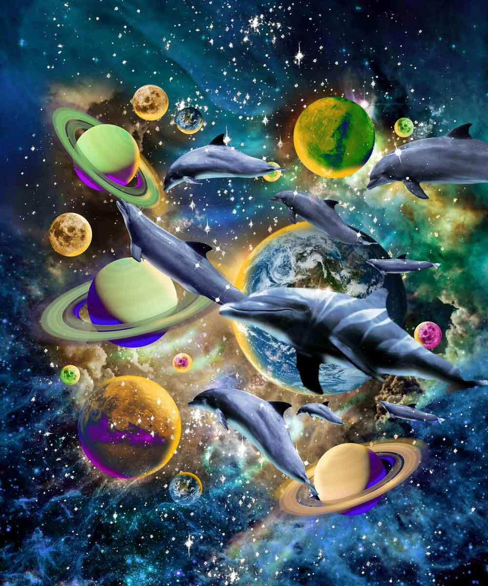 Cosmic Dolphin Voyage