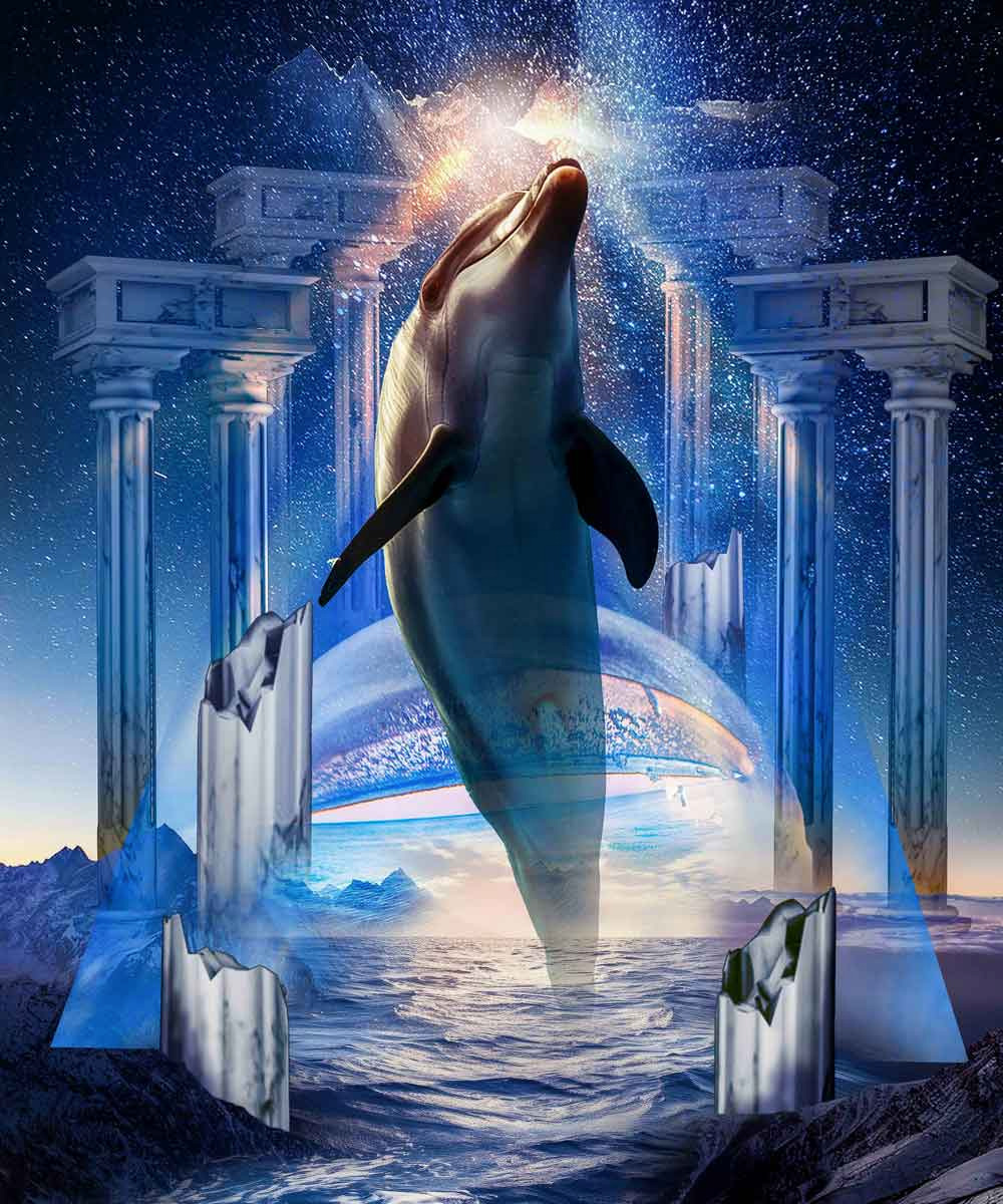 Celestial Dolphin Rising