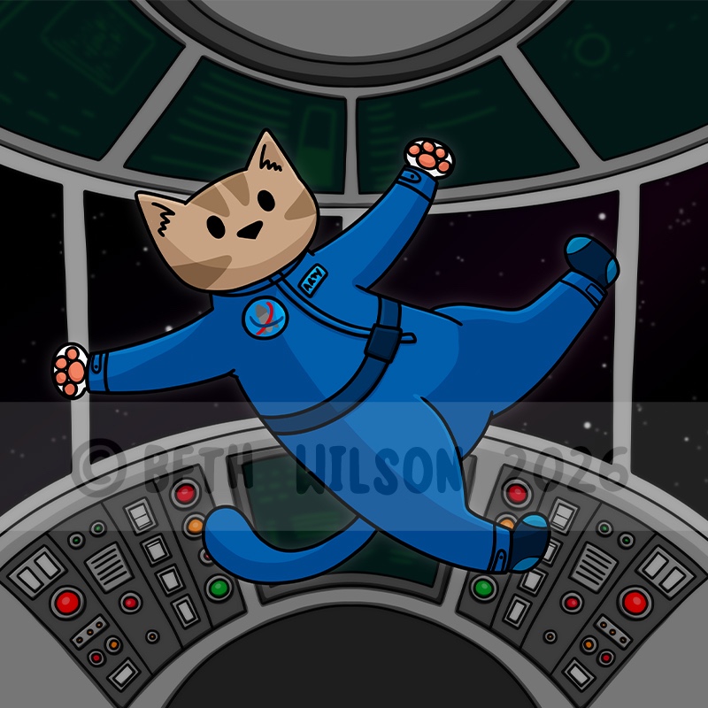 Astronaut cat