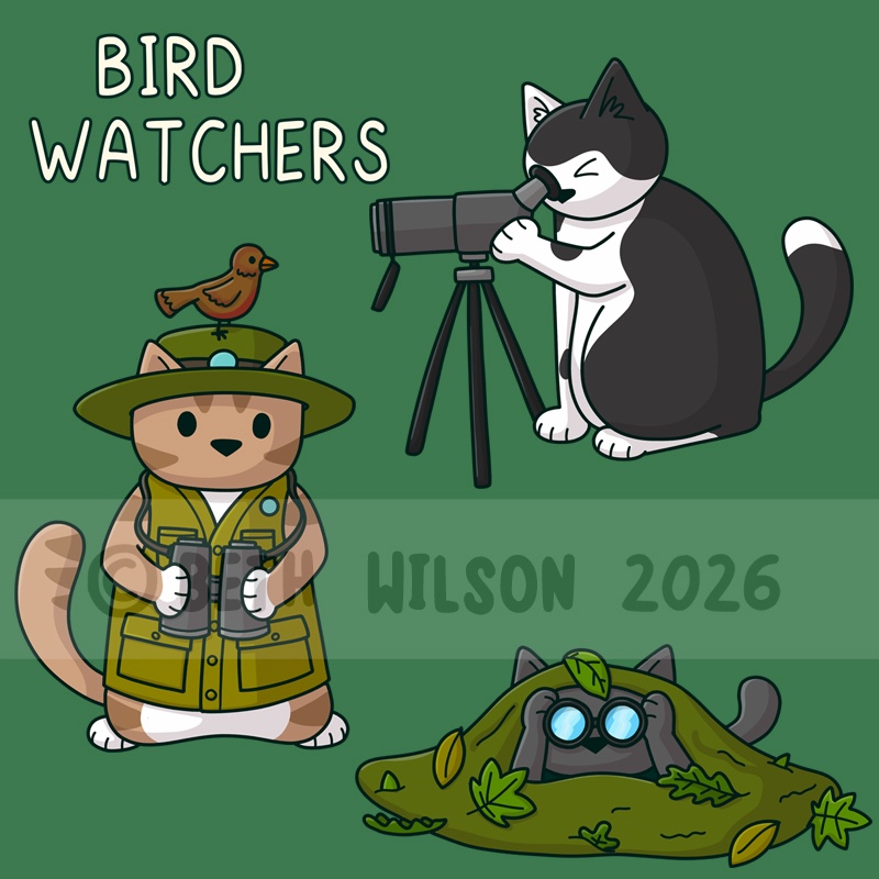 Birding cats