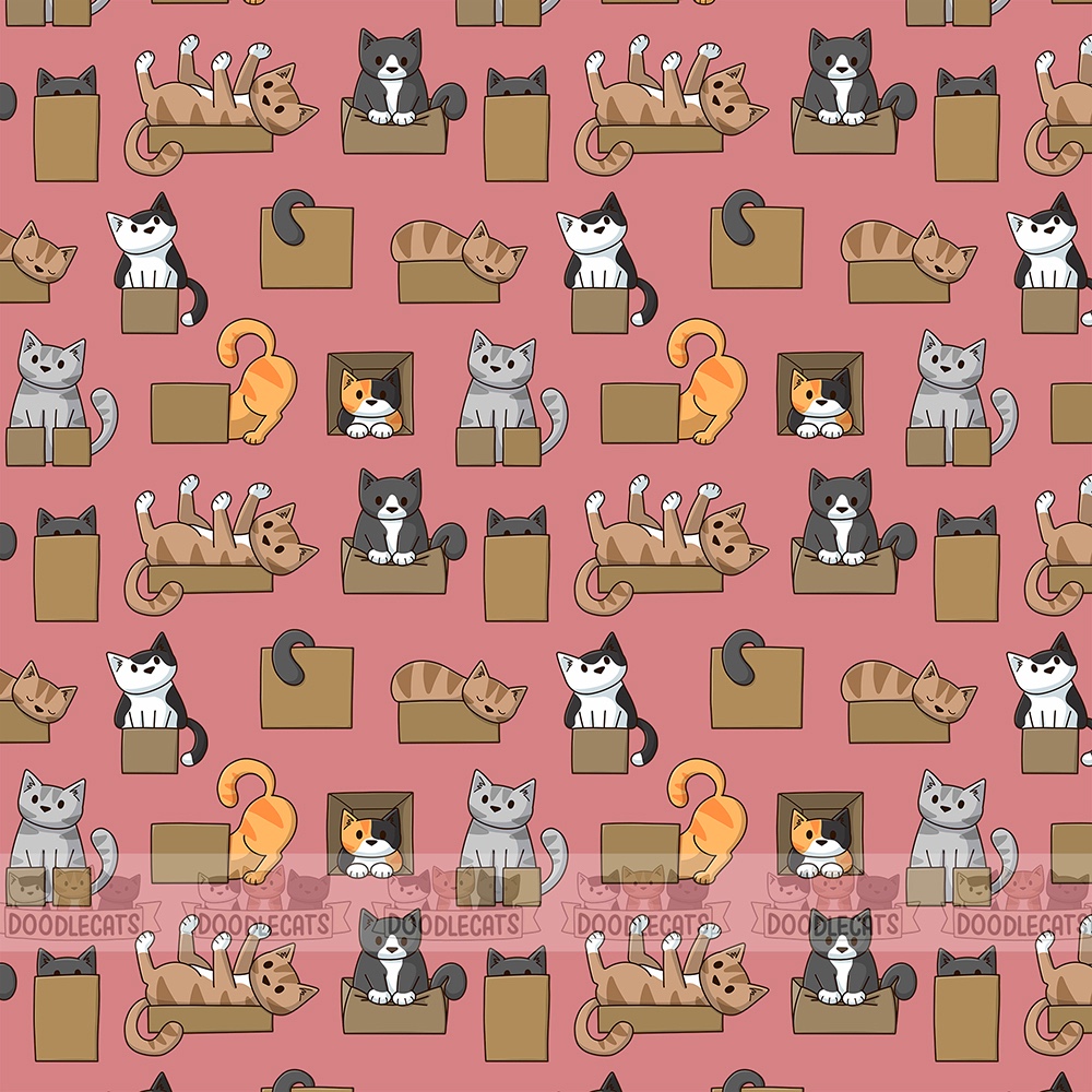 Cats in boxes