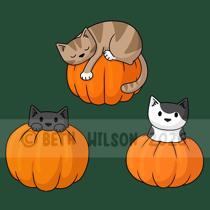 Cats on pumpkins – halloween