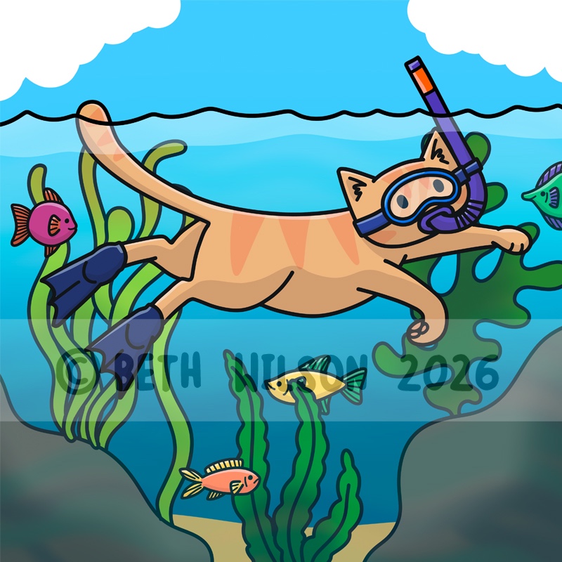 Cat Snorkelling
