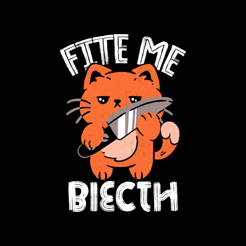 Fite Me Biecth Funny Cat