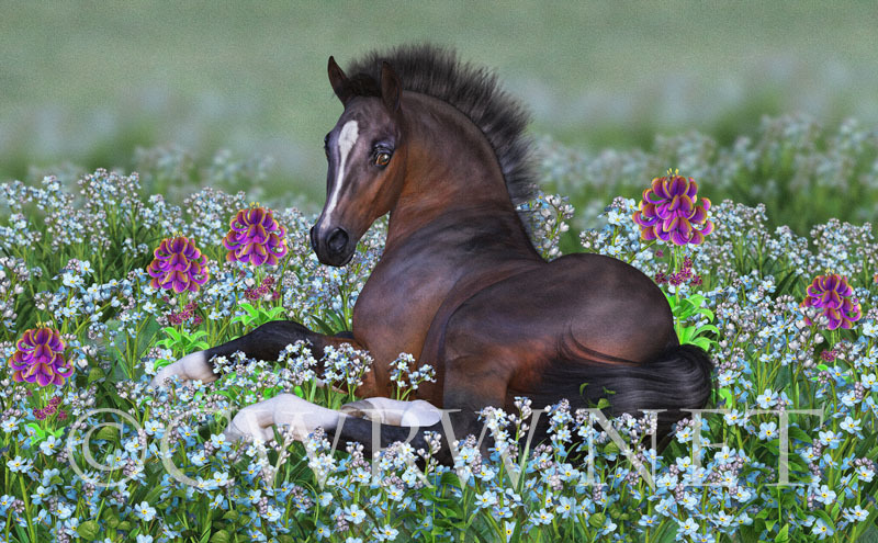Foal and Flowers