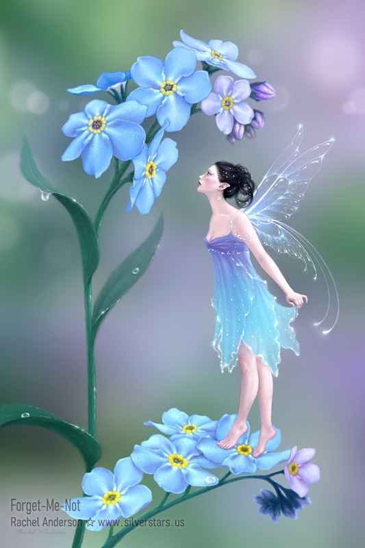 Forget-Me-Not