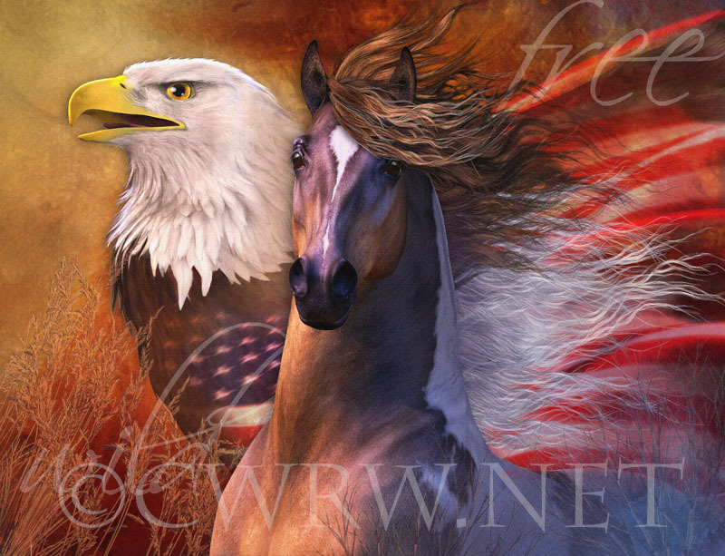 Freedom