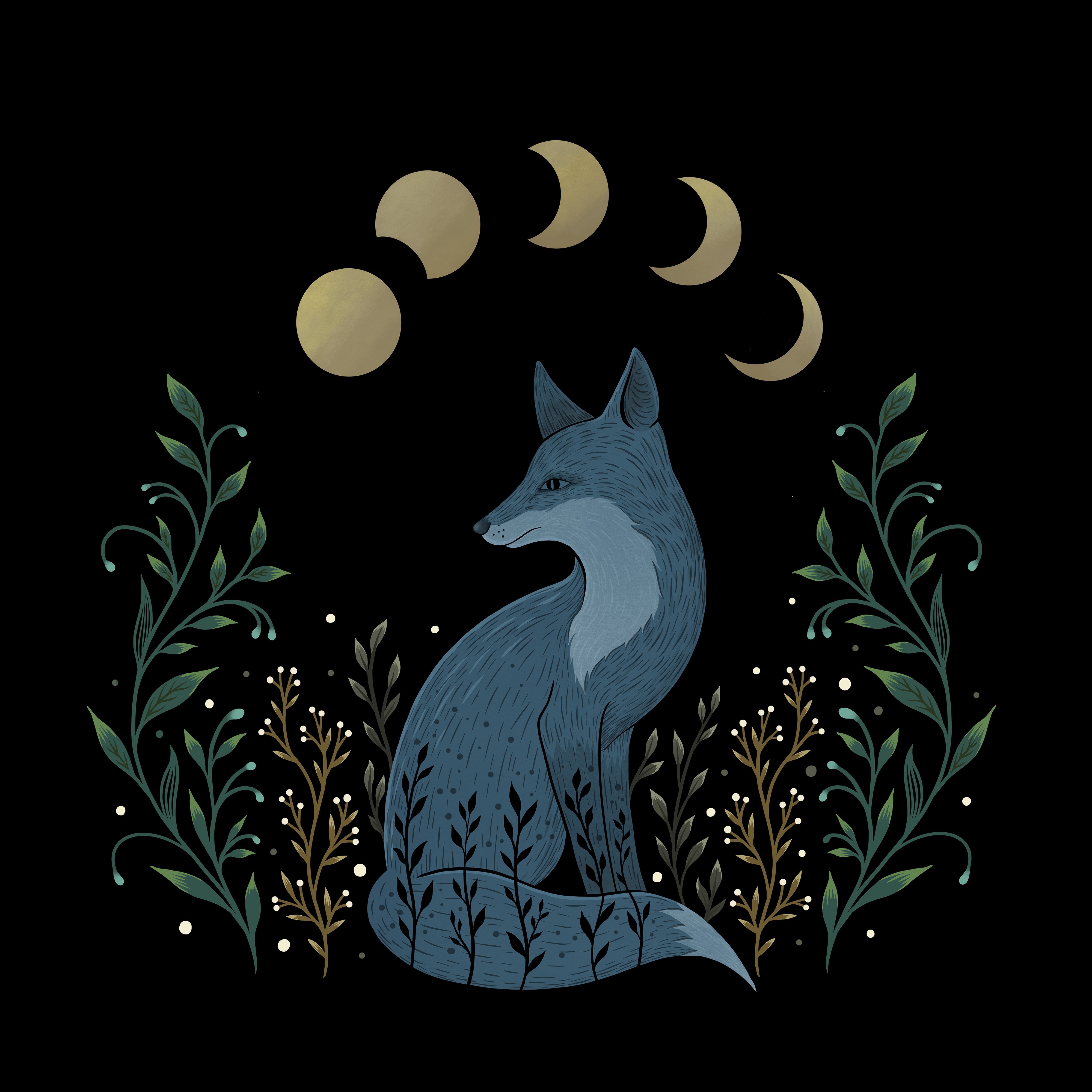 Fox on the Hill