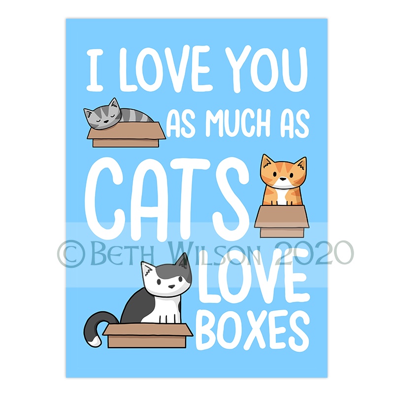 I love you as much as cats love boxes