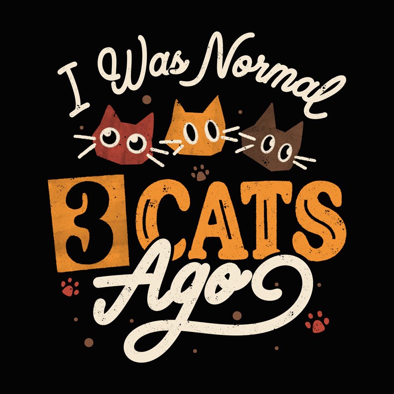 I Was Normal 3 Cats Ago