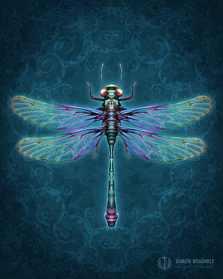 Winged Things: Dragonfly