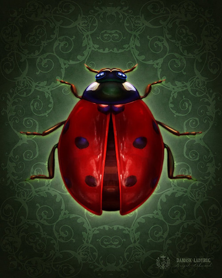 Winged Things: LadyBug