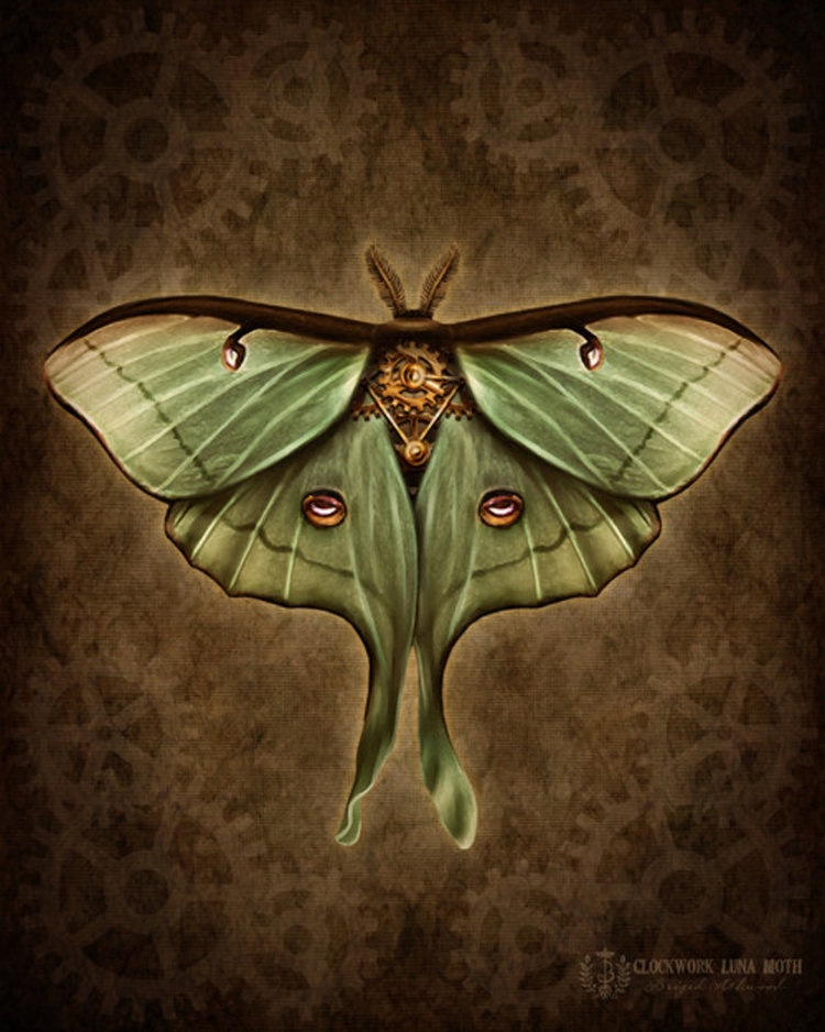 Winged Things: Steampunk Luna Moth