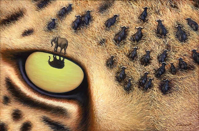 Eye of the Leopard