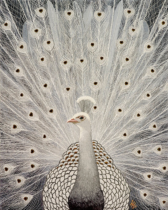 White Peacock