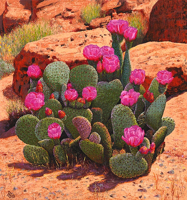 Desert Cactus