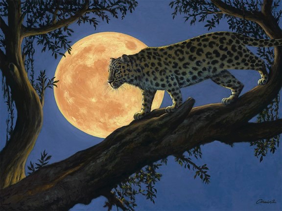 Night Leopard