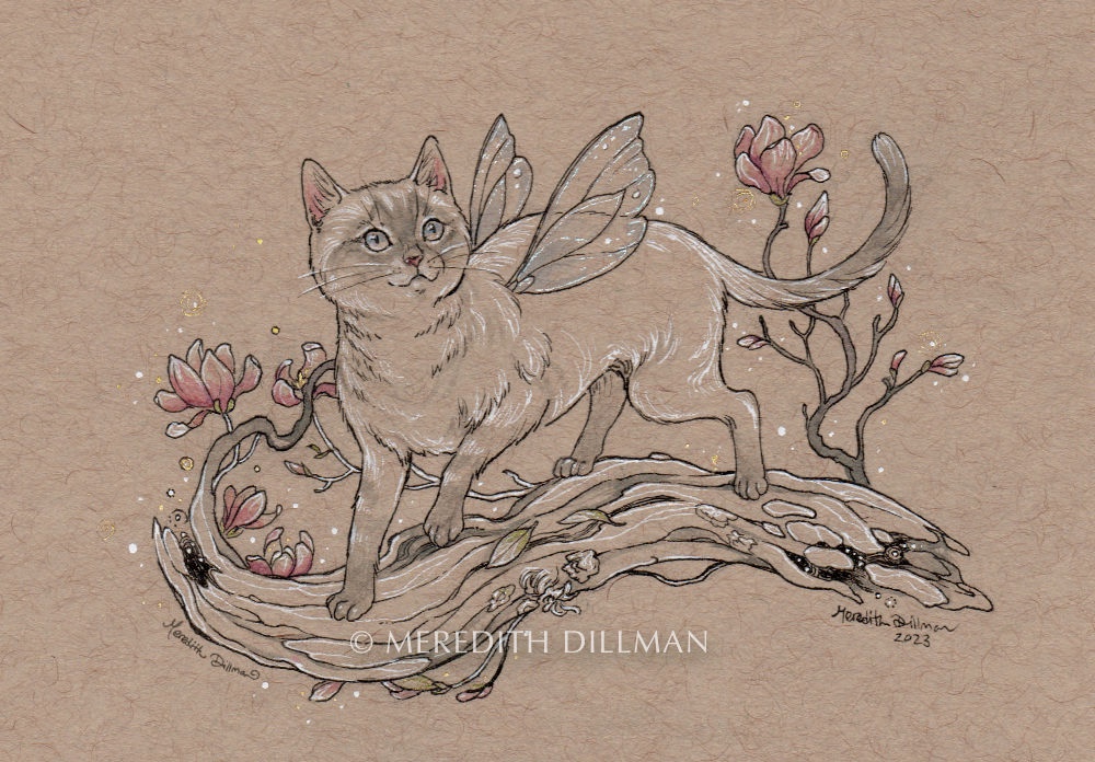 Cat with Magnolia Blossoms