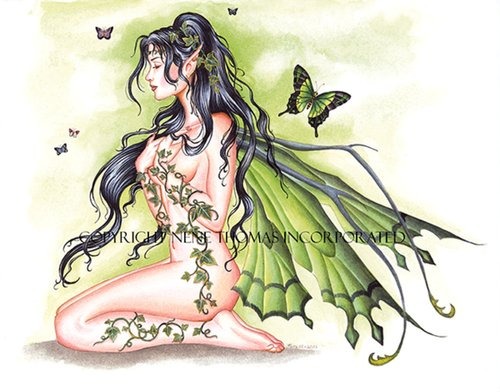 ivy
