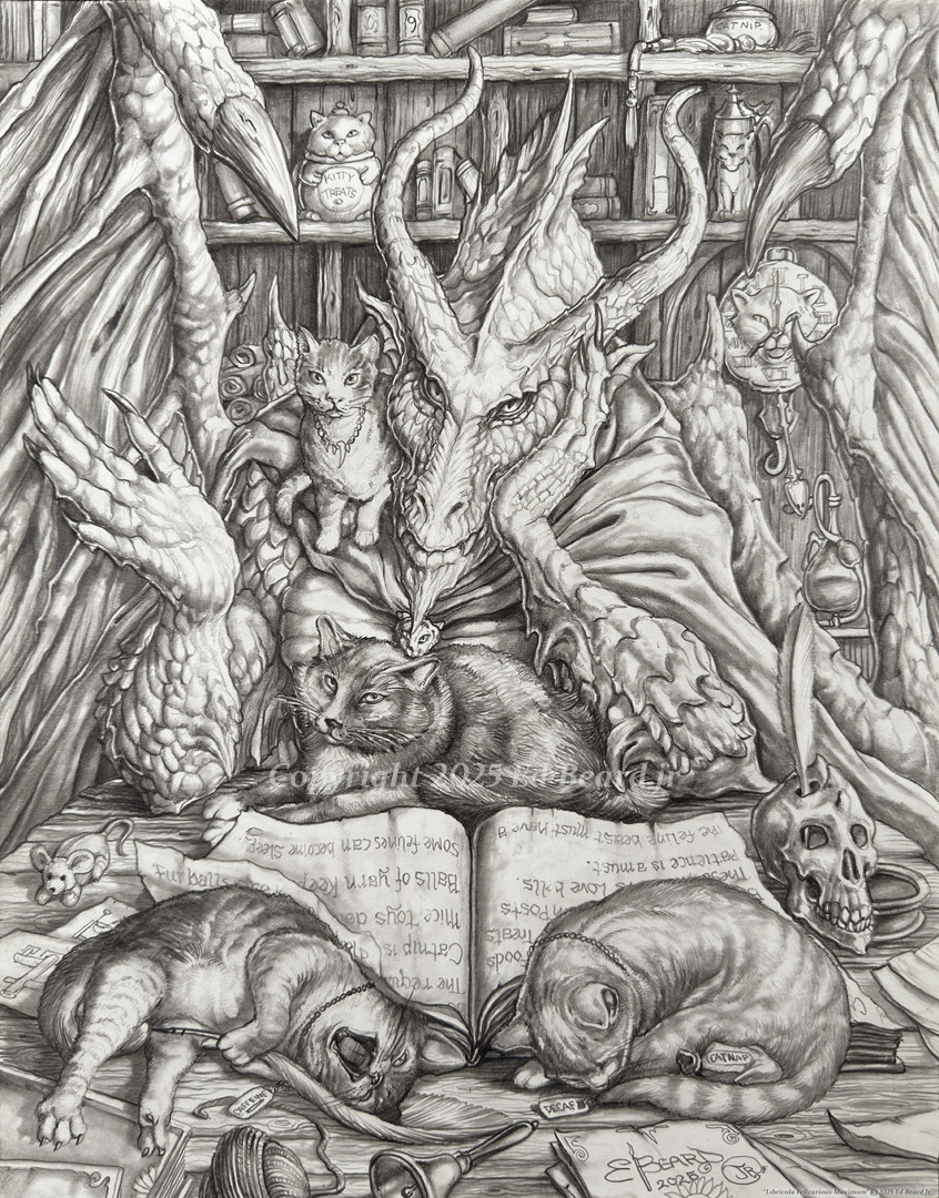 Dragons and Cats (Libricola Fellicious Maximus)