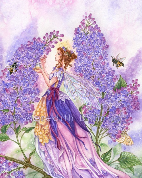Lilac Dew Fairy