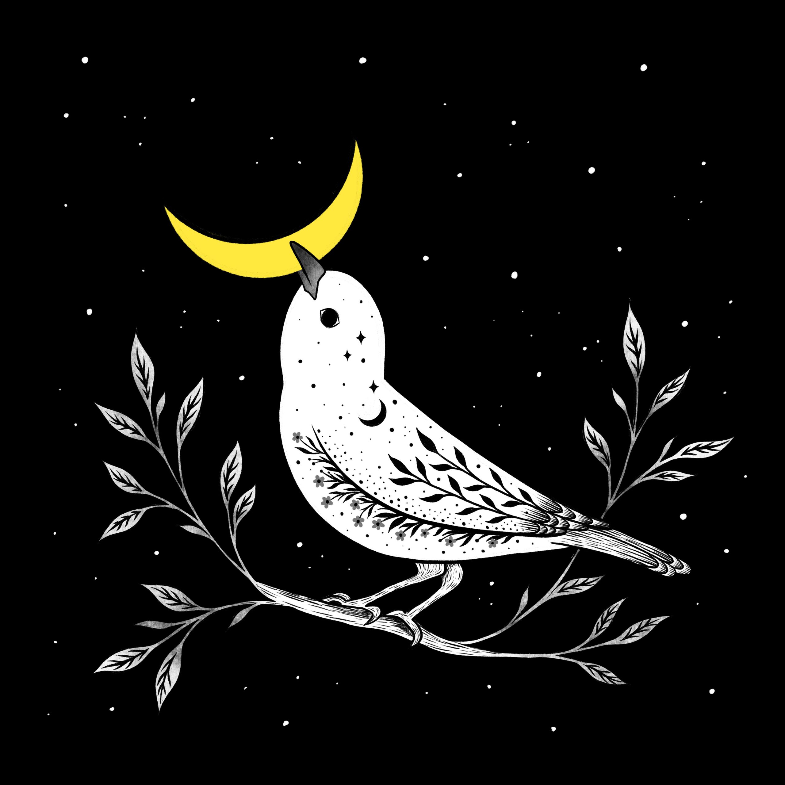 Moon Bird