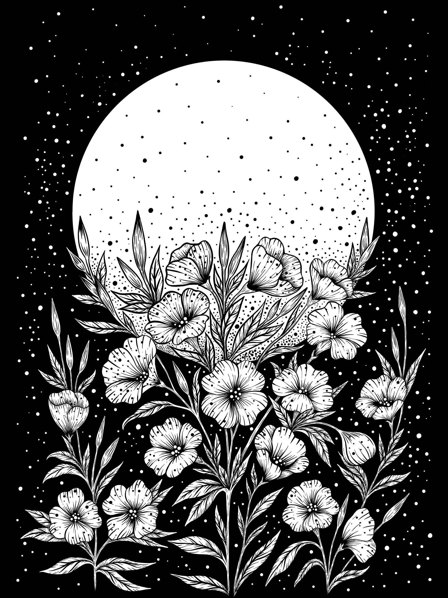 Moon Greeting – Black