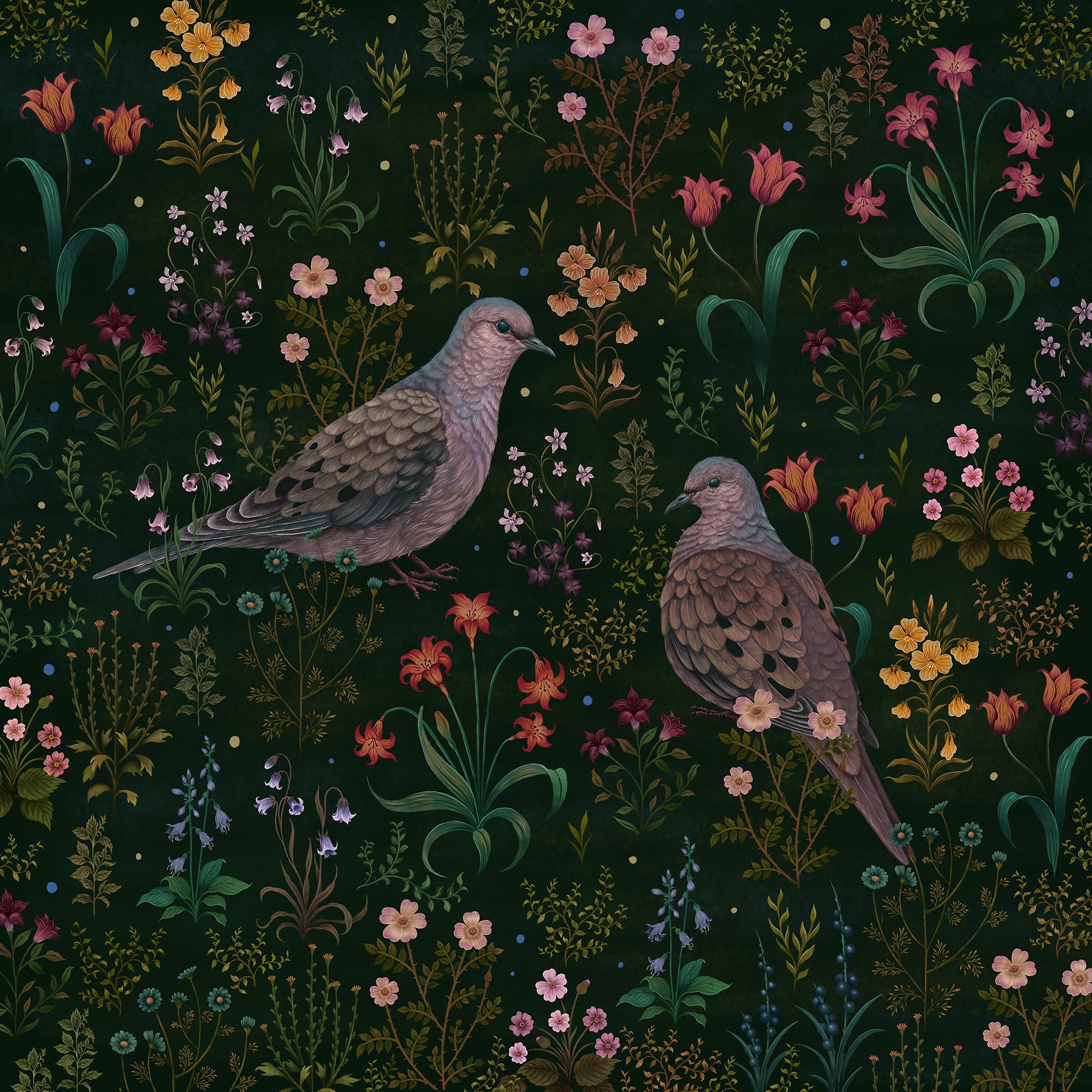 Mourning Doves