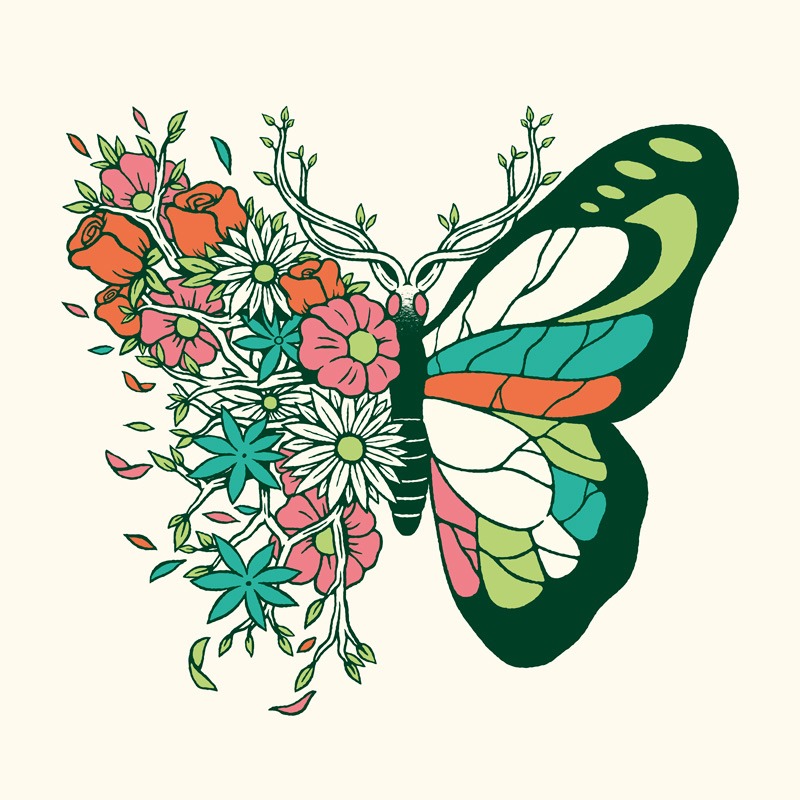 Nature Butterfly Metamorphosis