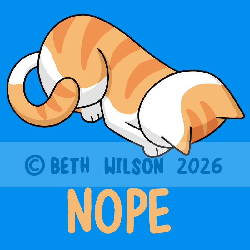 Nope Cat