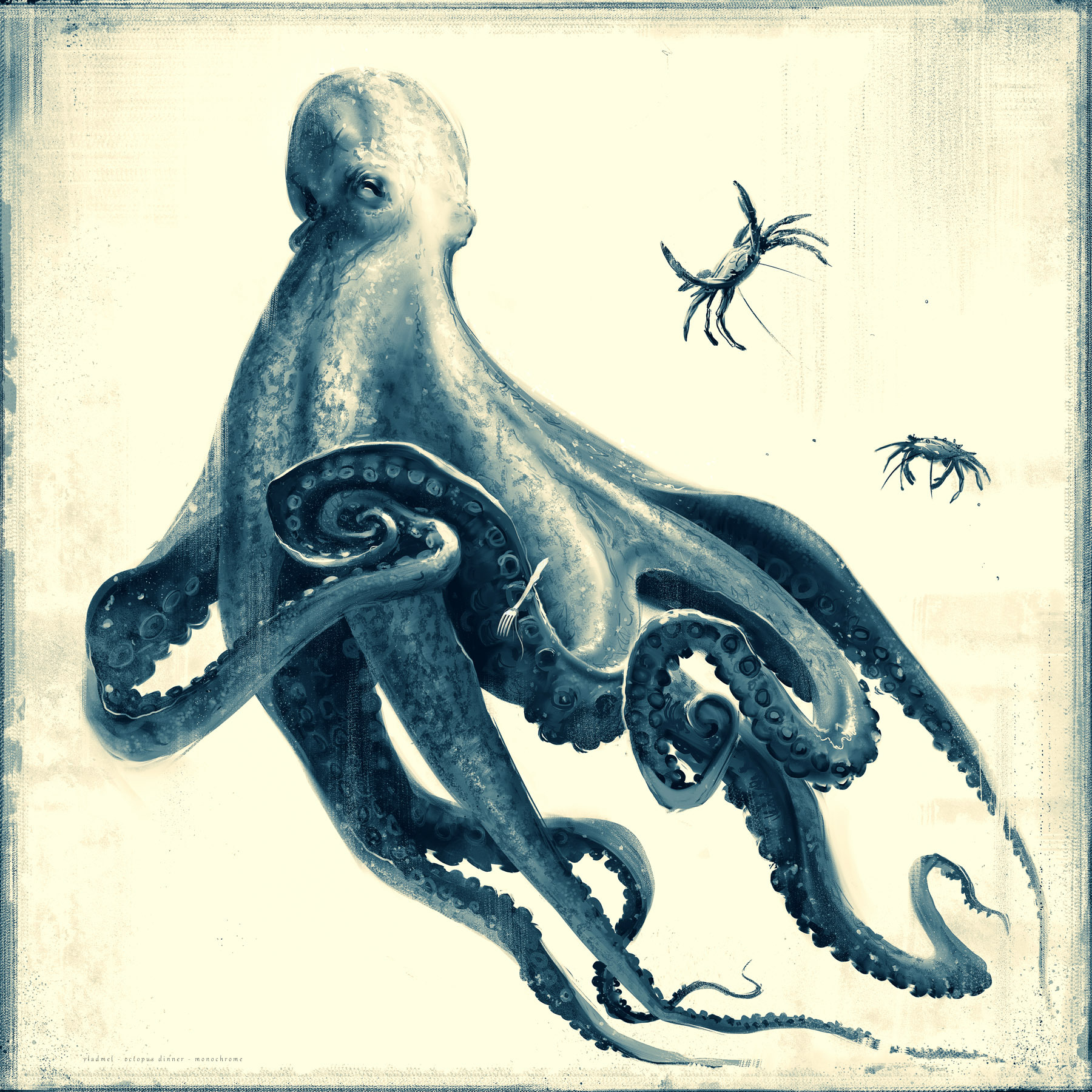 Octopus hunting – study