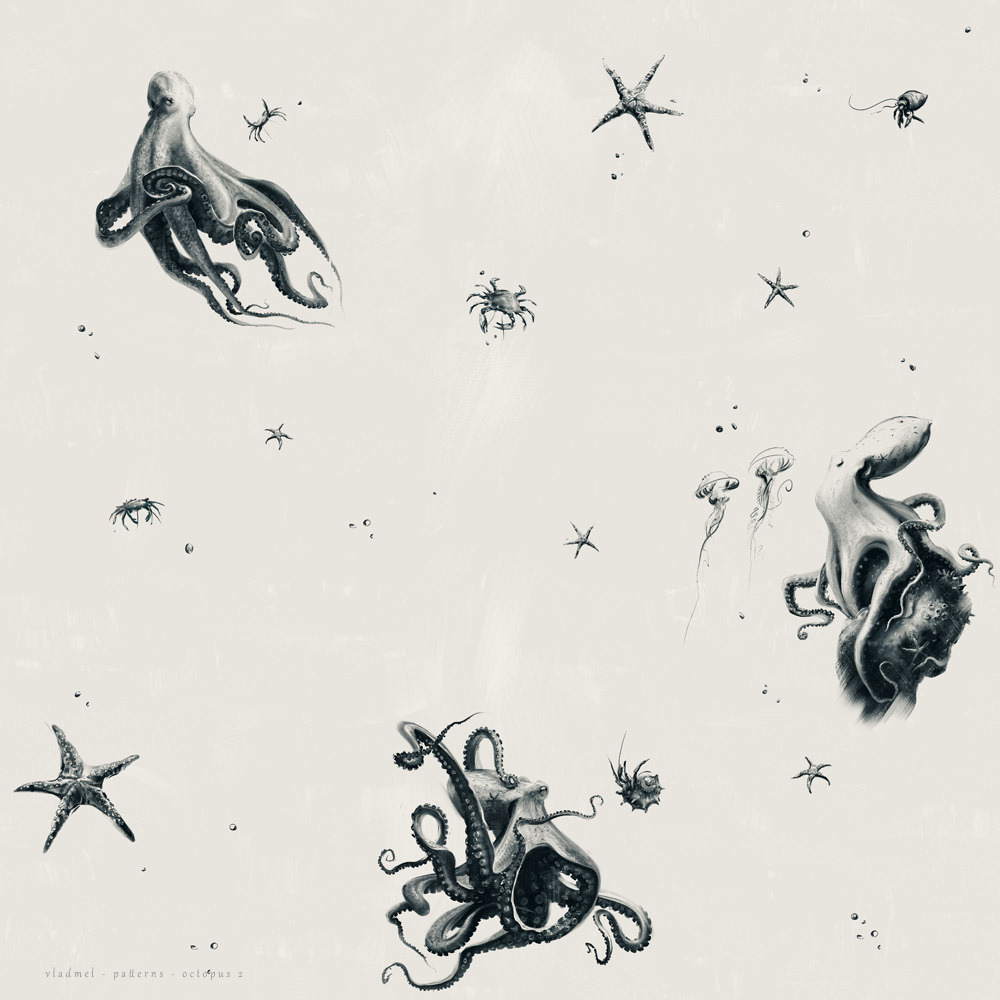Pattern – octopus 2