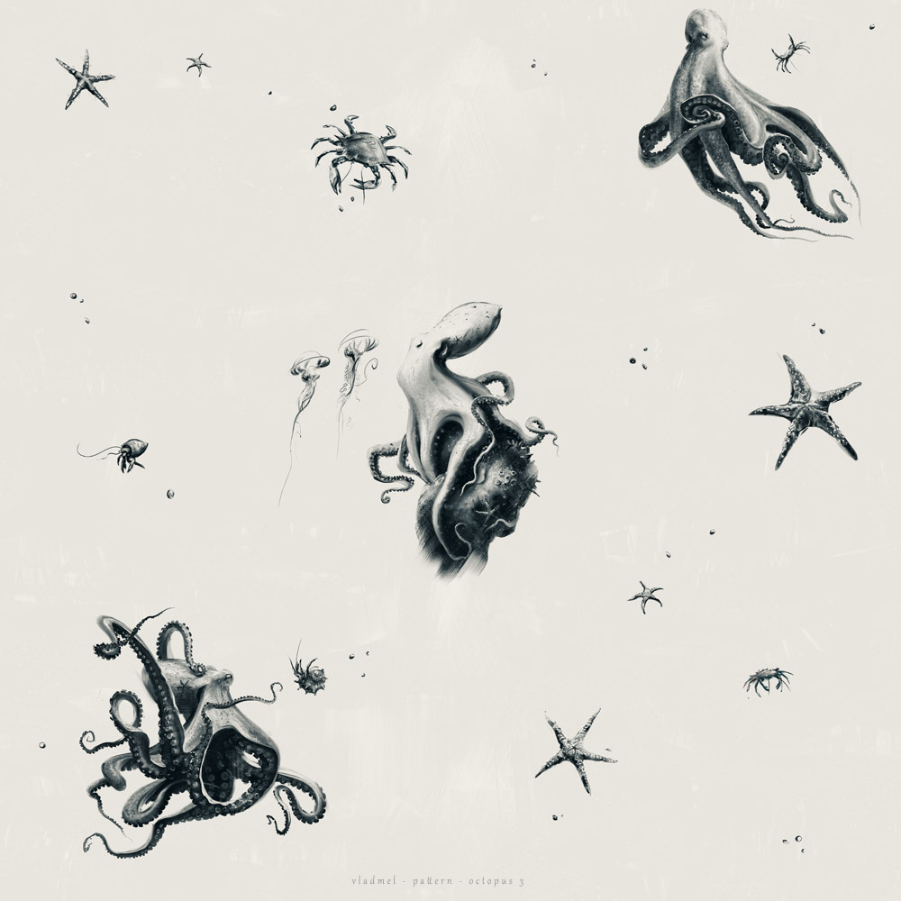 Pattern – octopus 3